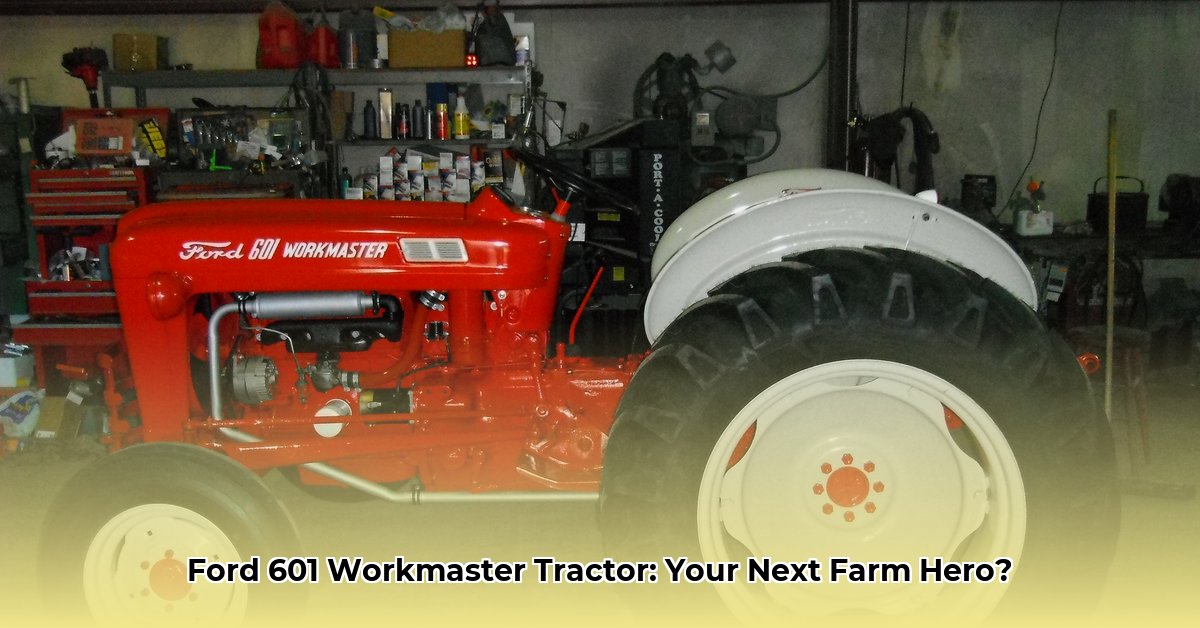 601-workmaster-ford-tractor